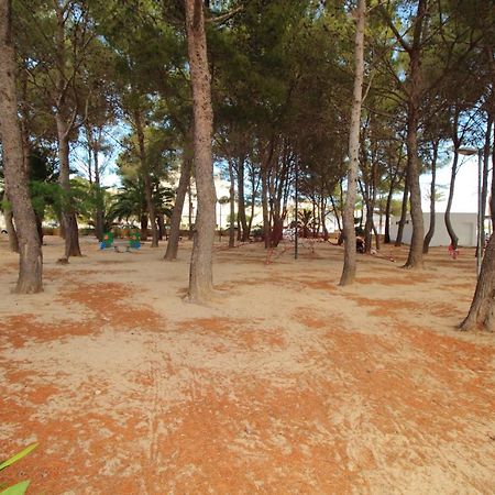 Family Seafront Apt Fantastic Seaview Pollenca Exterior photo
